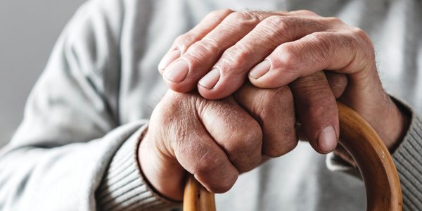 The government is introducing a elder  voucher. Bill adopted