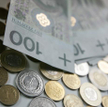 Euro ciągnie w dół złotego