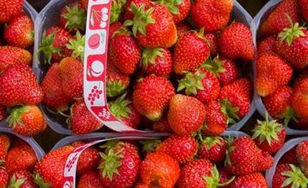 Polskie truskawki wracają do łask premiera