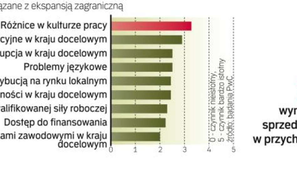 Rozwój biznesu za granicą to często wyzwanie kulturowe i językowe