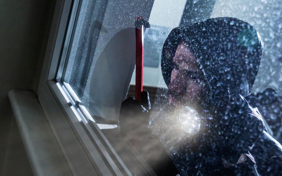Włamań odnotowano 74 tys. To o 3,1 tys. więcej niż w 2019 r.