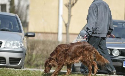 Opłatę za posiadanie psa wprowadza rada