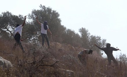 Nielegalni osadnicy, zakrywający twarze maskami, atakują kijami i kamieniami palestyńskich rolników,