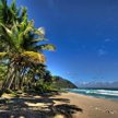 Mauritius potrzebuje maklerów