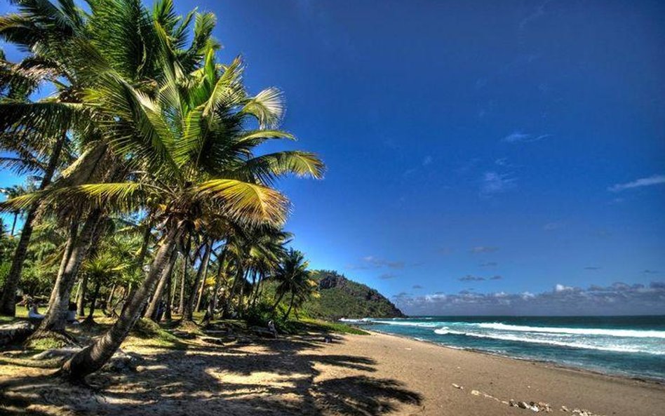 Mauritius potrzebuje maklerów