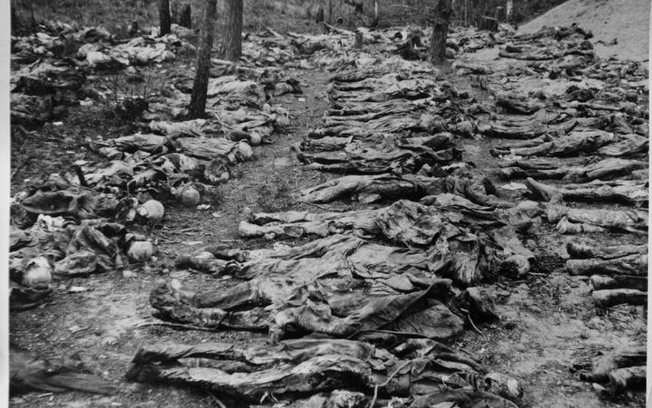 Ekshumacja ofiar w Katyniu