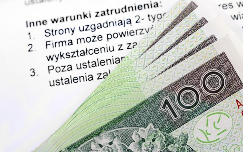 Wiele firm nie wypłaca 13 zł - minimalnej stawki godzinowej z umowy cywilnoprawnej