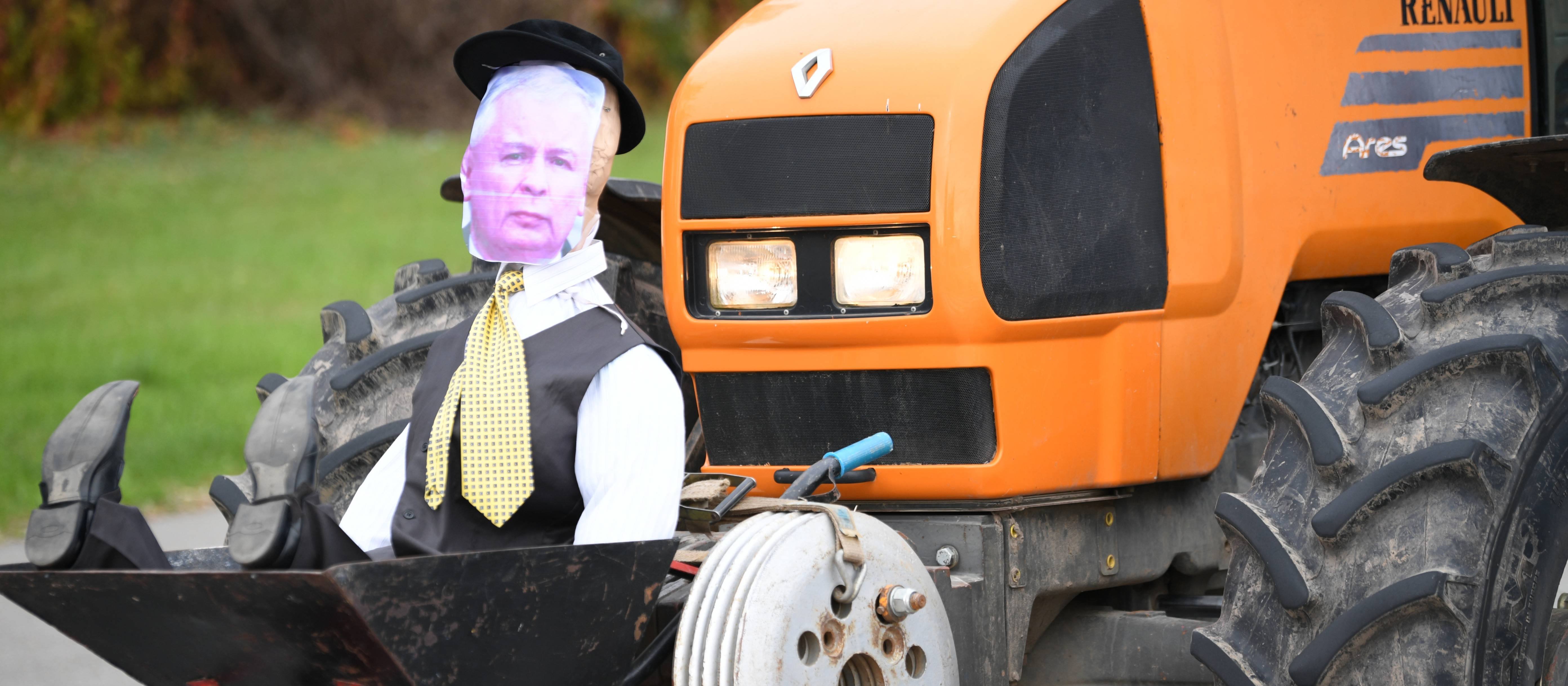 „Piątka dla zwierząt” – ustawa, która wstrząsnęła PiS i wciąż dzieli polityków