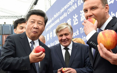 Chiny chcą robić interesy w Polsce, ale nie należy przeceniać znaczenia ich kapitału dla rozwoju pol