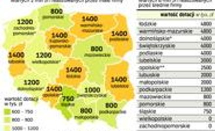 Wędrówka za dotacjami