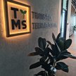 Chcesz kupić akcje TTMS? Oto najważniejsze informacje