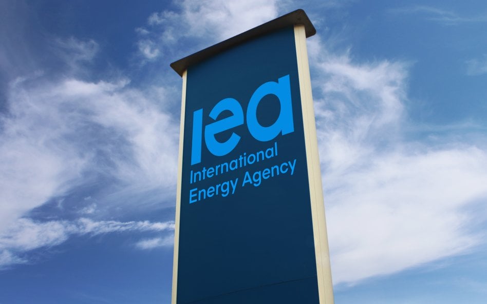 IEA prawdę Ci powie
