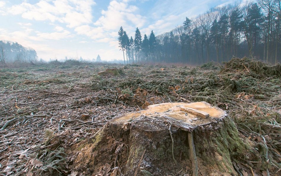 Jak wynika z najnowszych danych, przekroczyliśmy już cztery z dziewięciu granic planetarnych, dotycz