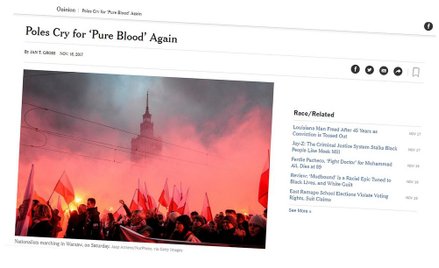 Ambasada reaguje na artykuł Grossa. "Wypełniony fałszem"