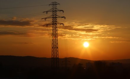 PGE susza na razie niestraszna