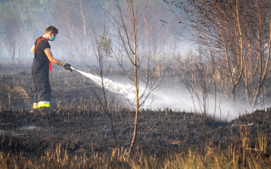 Jak wynika z danych Państwowej Straży Pożarnej, liczba interwencji strażaków wzrosła w ciągu minione