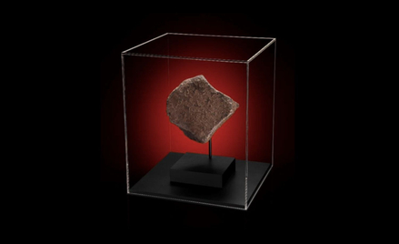 NWA 12690 – trzeci największy fragment marsjańskiej skały na Ziemi. Wyceniany był na 500-600 tysięcy