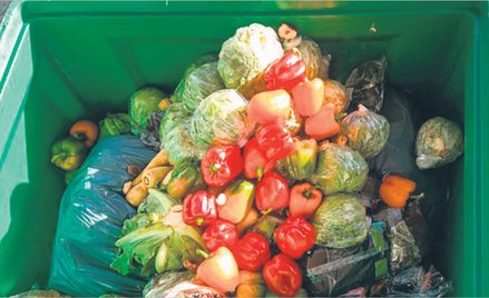 60 proc. jedzenia na śmietniku pochodzi z naszych domów