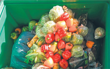 60 proc. jedzenia na śmietniku pochodzi z naszych domów
