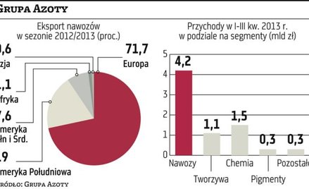 Azoty nie zawojują USA, ale powalczą o Brazylię