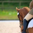 Nowe zawody, które mogą być nauczane w szkołach