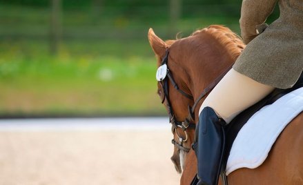 Nowe zawody, które mogą być nauczane w szkołach