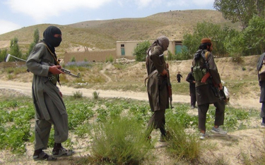 Afgańscy policjanci zginęli w bratobójczym ostrzale USA