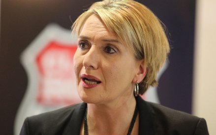 Simone Peter, Zieloni