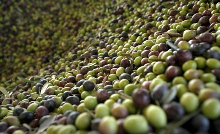 Mniej hiszpańskiej oliwy