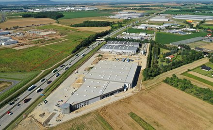 Hale są coraz bardziej zielone. Polska kusi inwestorów