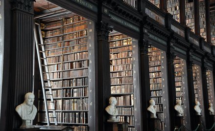 XIX–wieczne biblioteki mają klimat, który świetnie wpisuje się w trend „Dark Academia”.