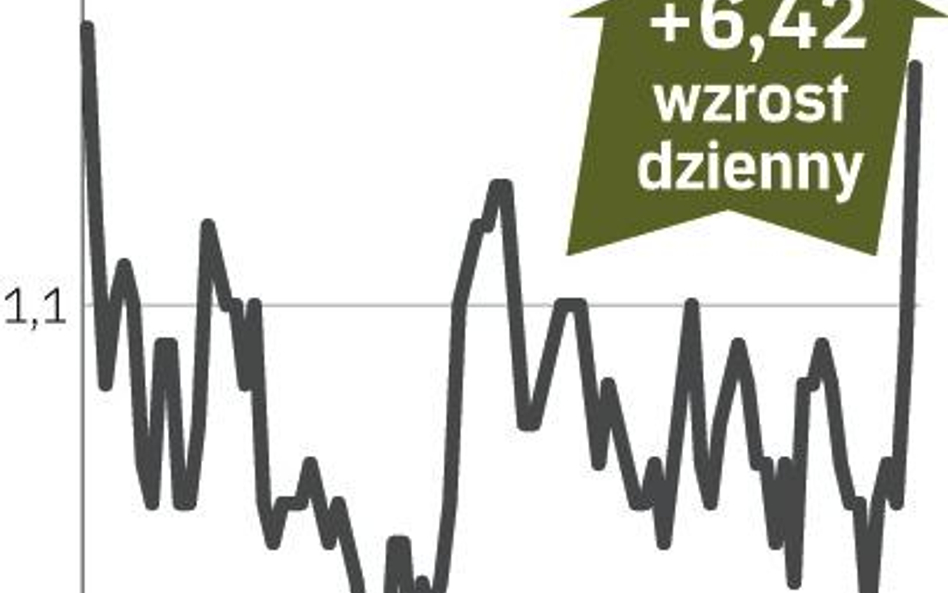 Rubicon Partners NFI – spółka, o której się mówi w Warszawie