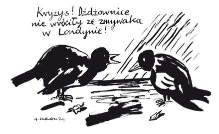 Komentarz rysunkowy. Kryzys!