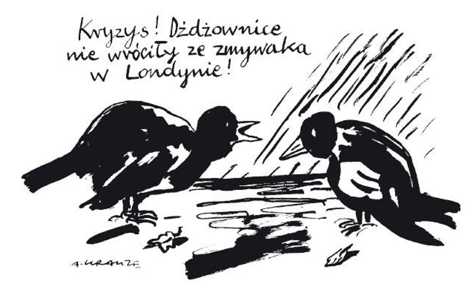 Komentarz rysunkowy. Kryzys!