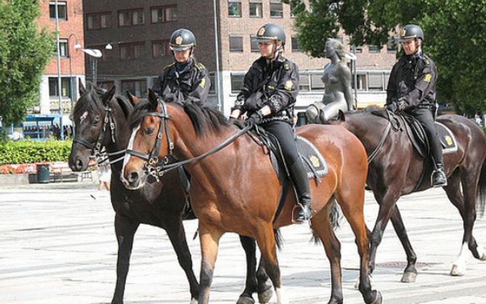 Norweska policja konna w Oslo