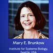 Mary E. Brunkow laureatką Nagrody Nobla za odkrycia dotyczące obwodowej tolerancji immunologicznej.