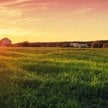 Działka może wyglądać atrakcyjnie, mieć dobry dojazd i korzystną cenę, a mimo to być obciążona ogran