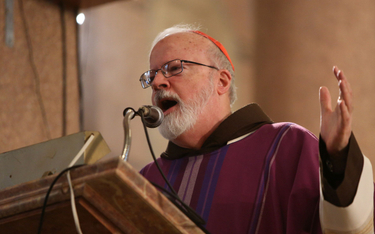 Kardynał Seán O’Malley, stojący na czele Papieskiej Komisji ds. Ochrony Małoletnich