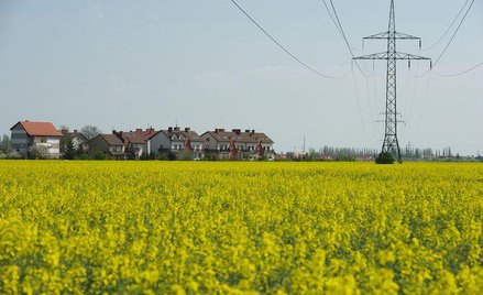 Ile ziemi sprzedała ANR