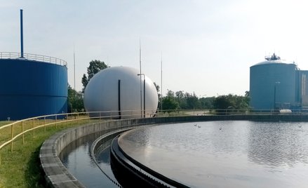 Polska posiada duży potencjał w zakresie produkcji biogazu i biometanu. Od wielu lat, mimo licznych 