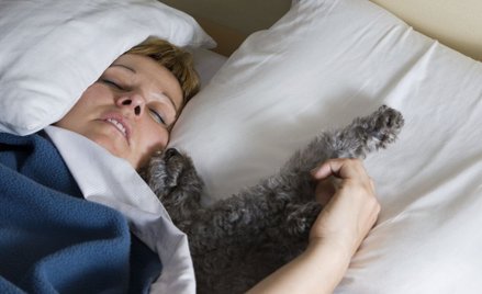 Ludzie na całym świecie dzielą łóżko nie tylko ze swoimi partnerami, ale także psami i kotami.