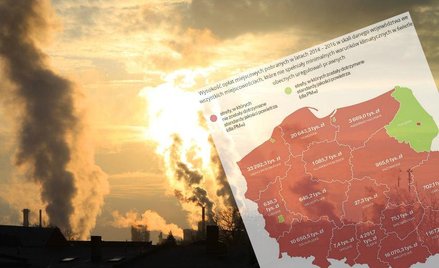 NIK o smogu: Polska sobie nie radzi z problemem