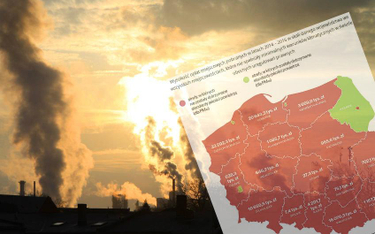 NIK o smogu: Polska sobie nie radzi z problemem