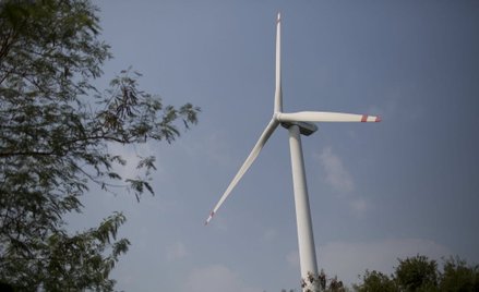 Wiatr napędza Danię