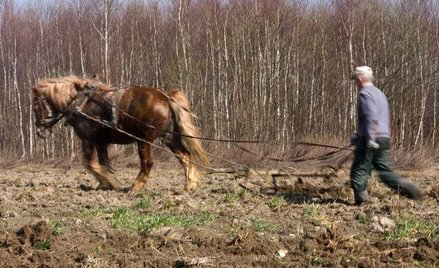 Zapłata rolnikowi części należności umożliwia odliczenie