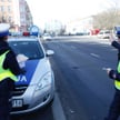 Poseł na drodze to nie święta krowa
