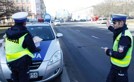 Poseł na drodze to nie święta krowa