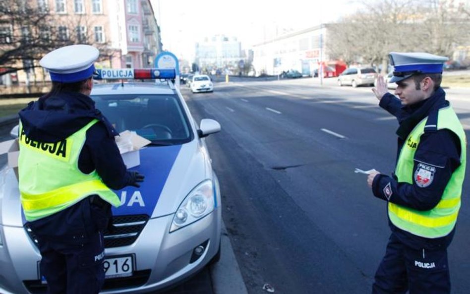 Poseł na drodze to nie święta krowa