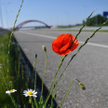 Autostrada A2 będzie przejezdna