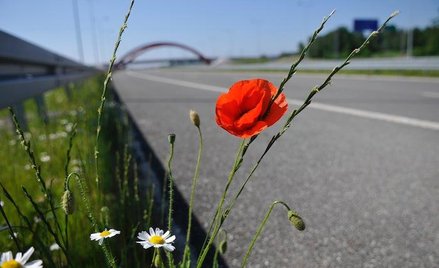 Autostrada A2 będzie przejezdna